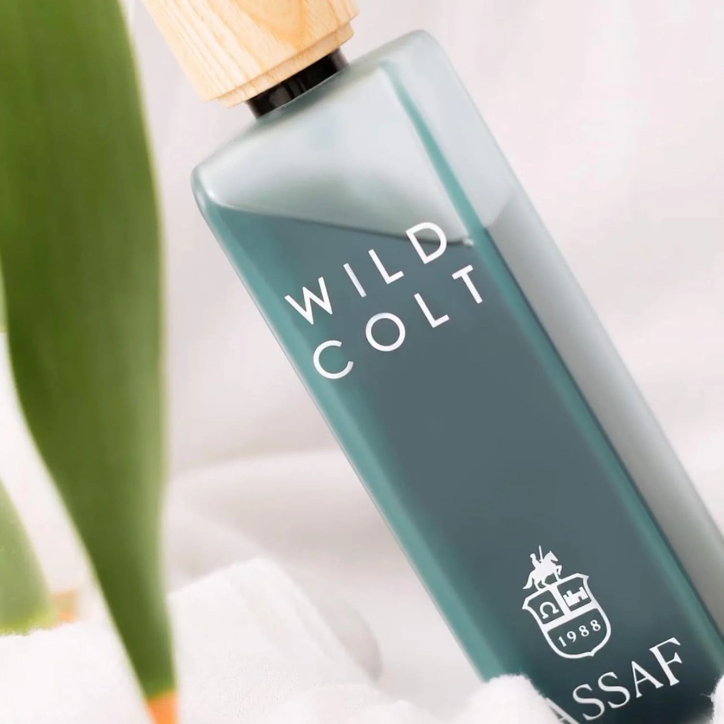 Assaf Wild Colt + Gris Erik –  Limited Edition Collaboration
